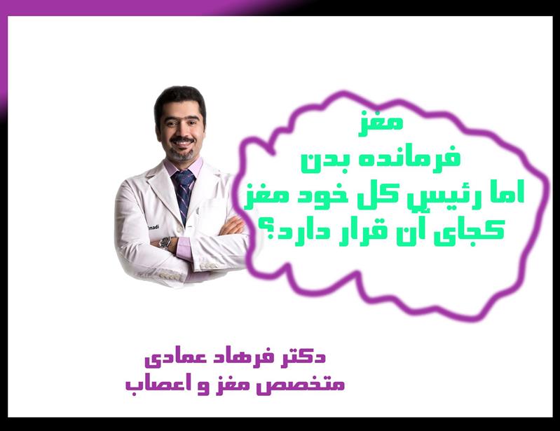 با کارکرد مغز به زبان ساده آشنا شوید-کارکرد مغز-مغز چگونه کار می کند-درد خیالی